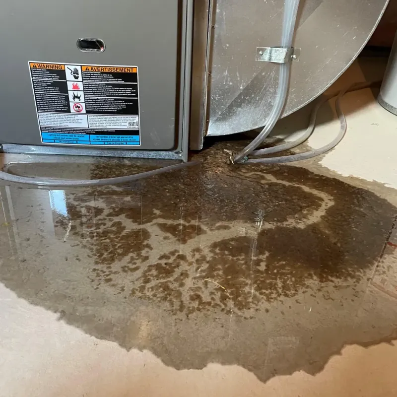 Appliance Leak Cleanup in Cleveland, MS